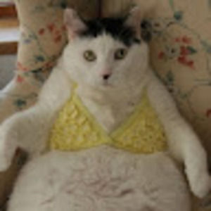 Meet your Posher, Jade